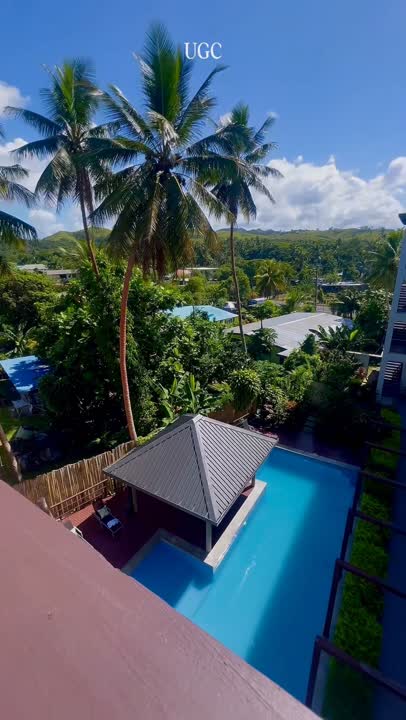 Pool and palm trees from above